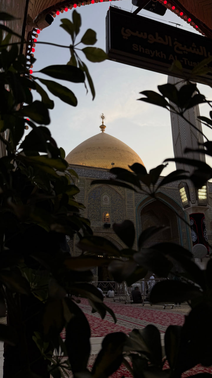 تصویر باکیفیت از گنبد مطهر امام علی علیه السلام